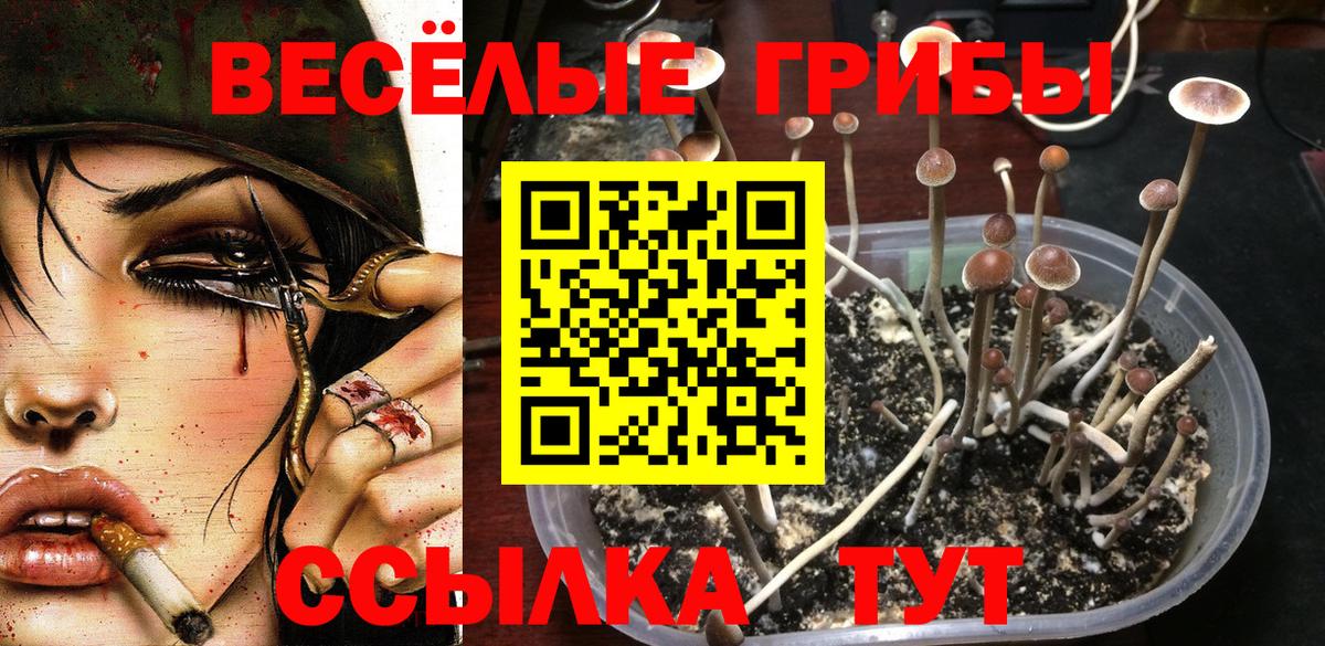 наркота  Вход с VPN  Алушта  Псилоцибиновые грибы мицелий 