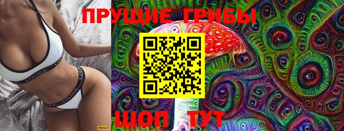 Галлюциногенные грибы Psilocybe Алушта
